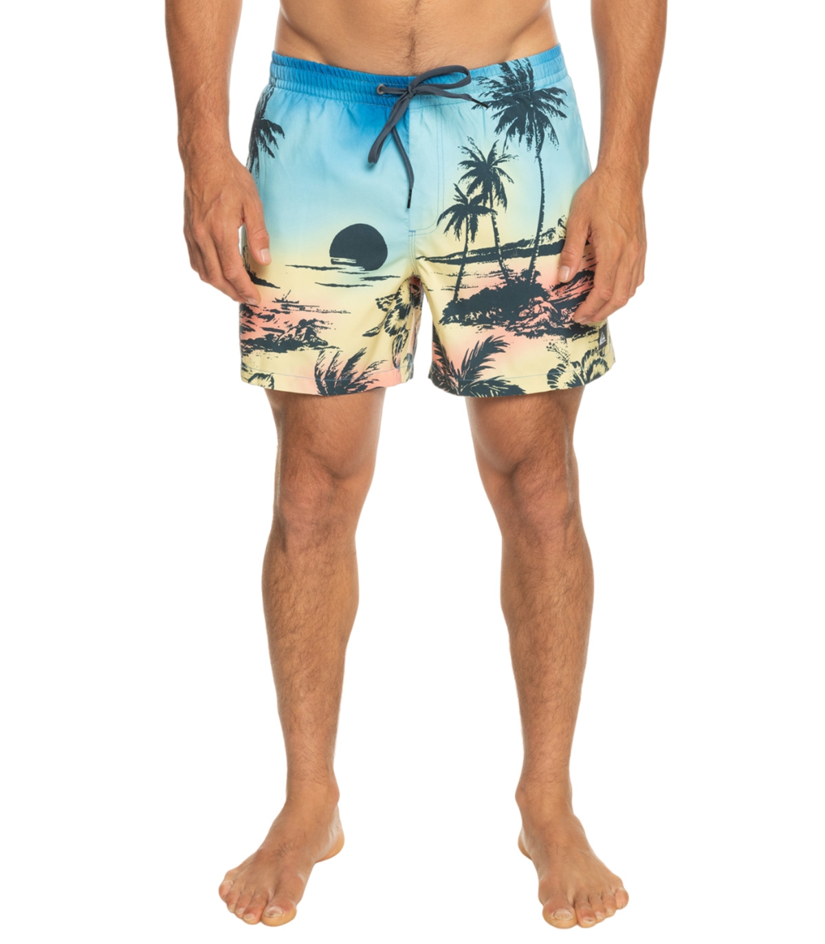 Quiksilver - Bañador Multicolor para Hombre - Everyday Paradise