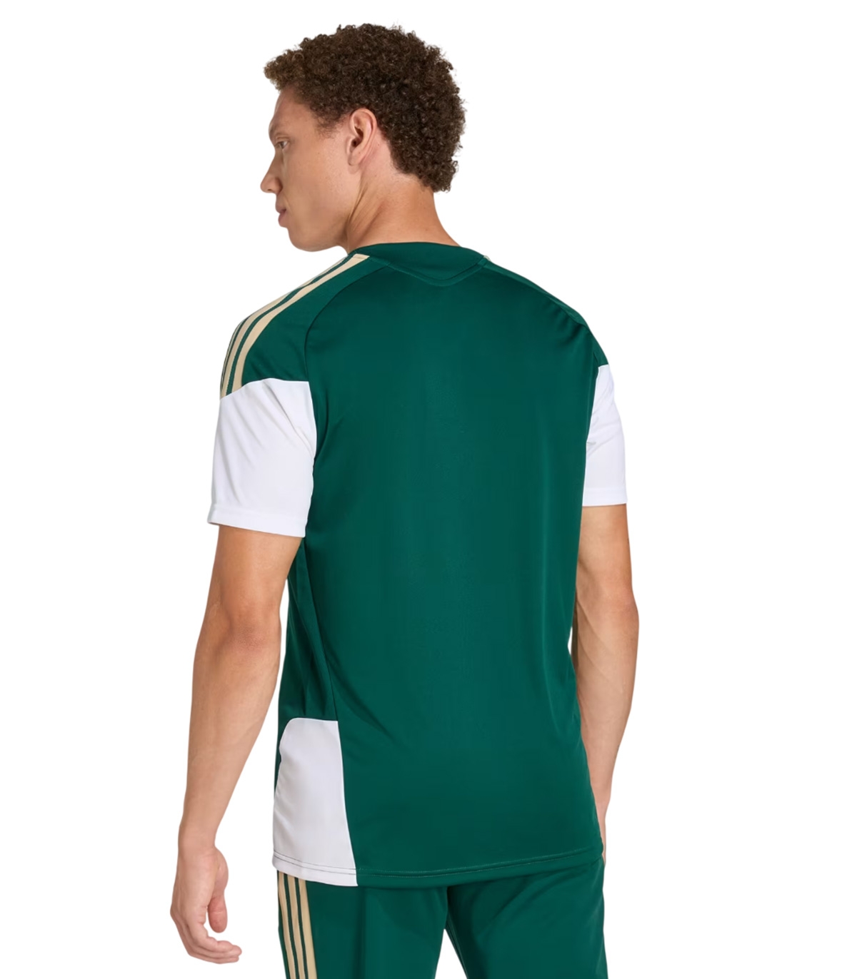 Adidas - Camiseta Verde para Hombre -Italia 26