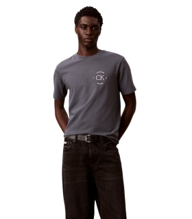 Calvin Klein - Camiseta Gris para Hombre