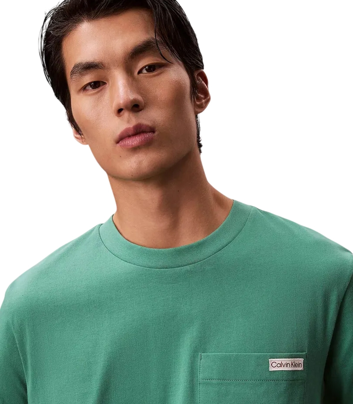 Calvin Klein - Camiseta Verde para Hombre - Wild Green