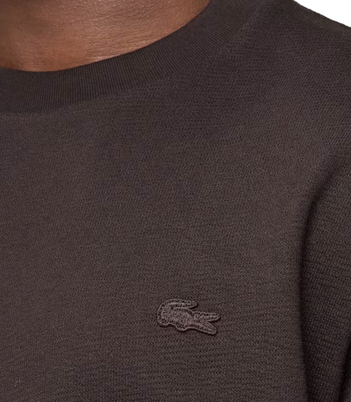 Lacoste - Conjunto Marrón para Hombre