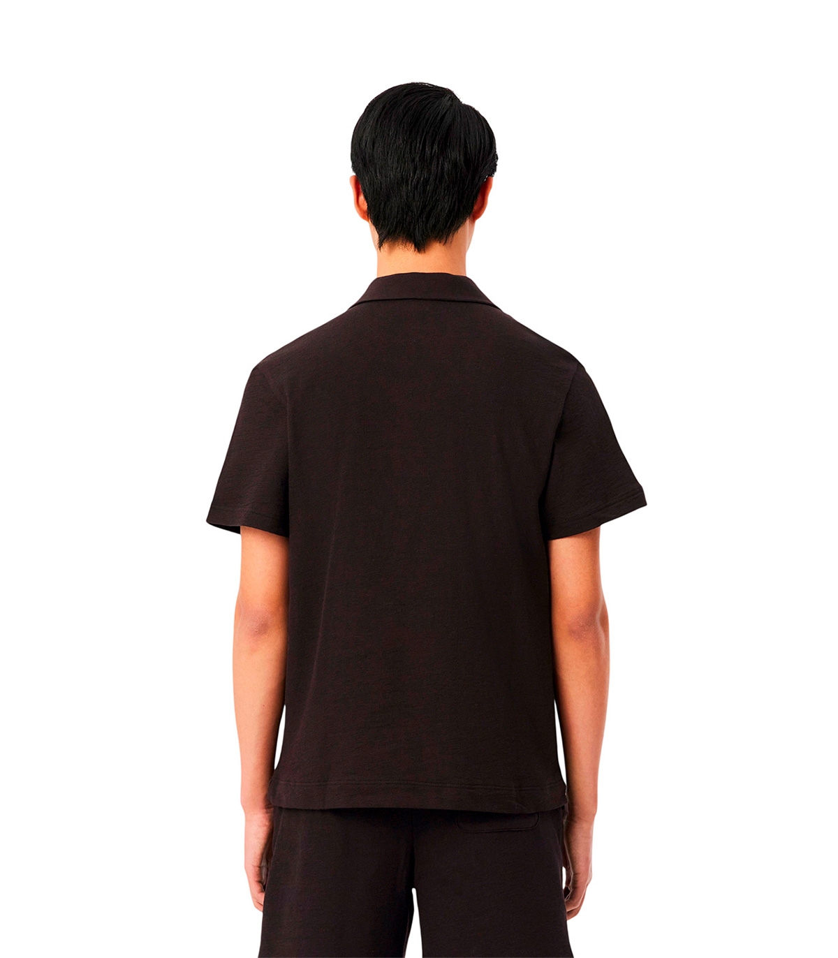 Lacoste - Polo de Corte Clásico Marrón Para Hombre