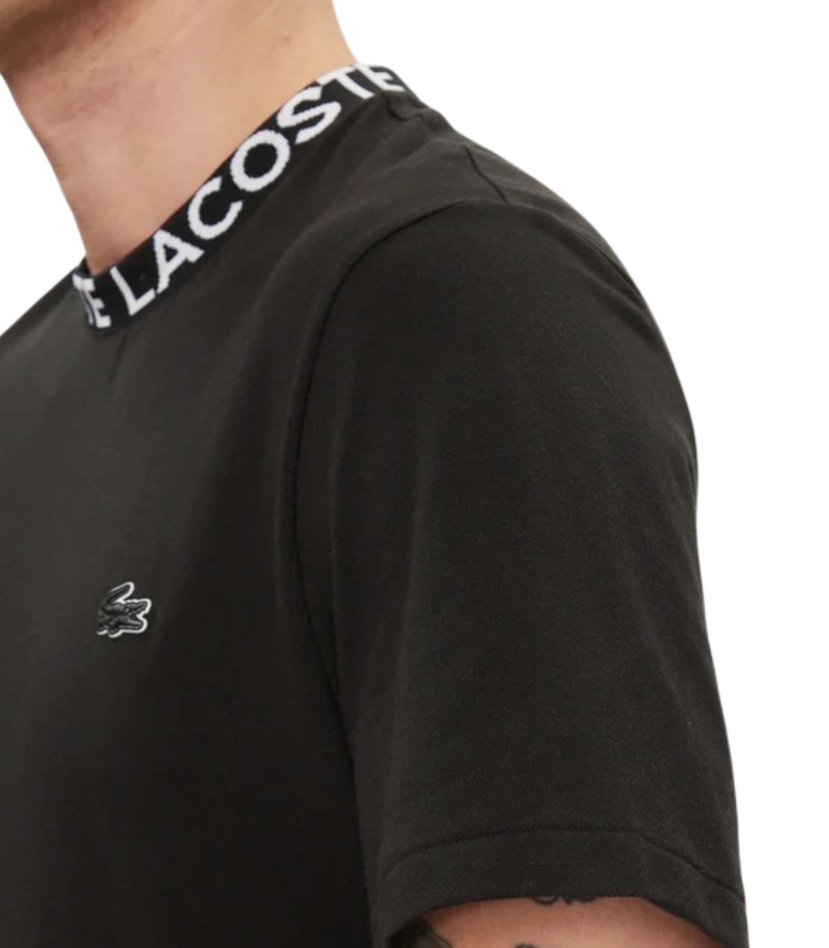 Comprar camiseta LACOSTE | LACOSTE