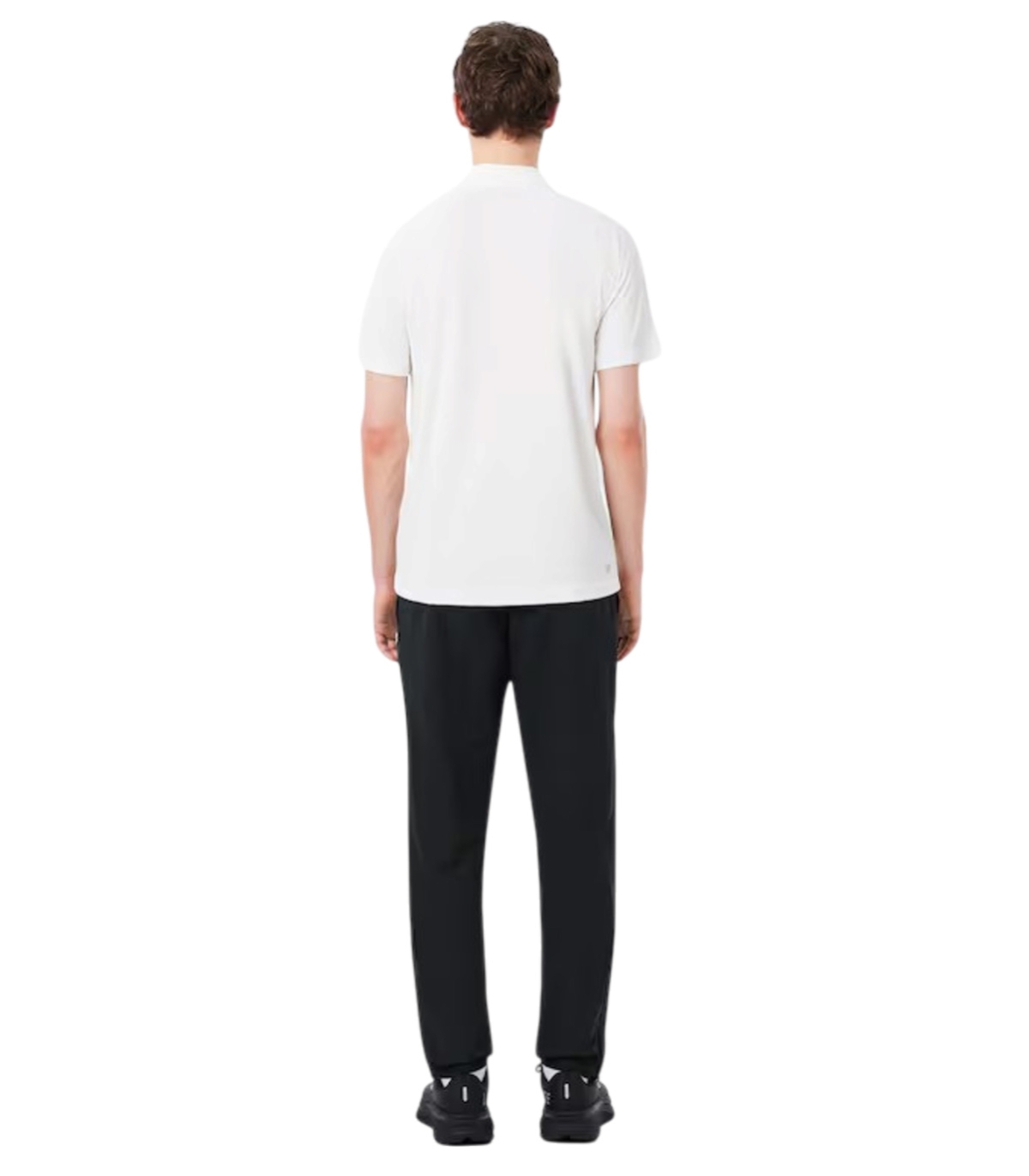 Comprar CHANDAL LACOSTE | LACOSTE