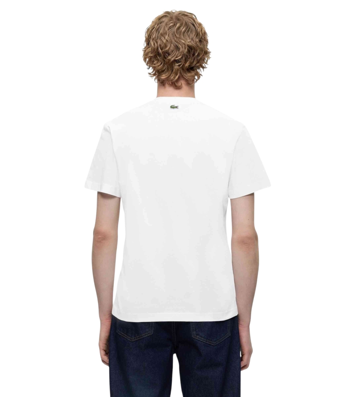 Comprar camiseta LACOSTE  | LACOSTE