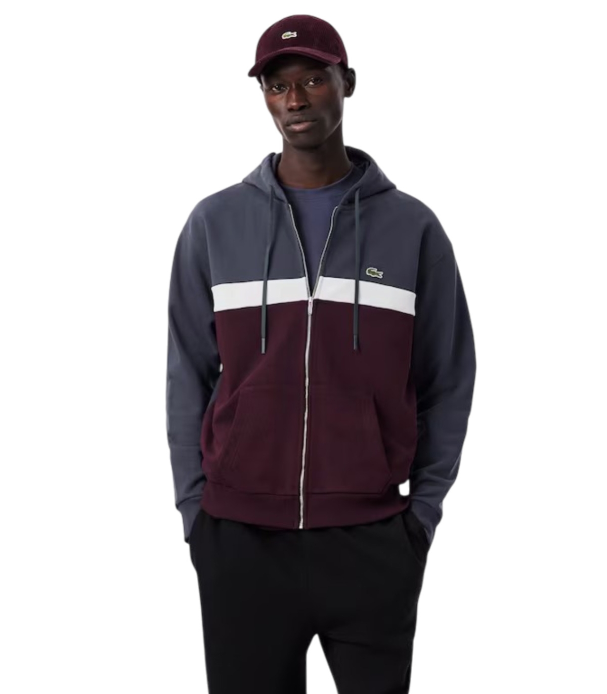 Comprar CHANDAL LACOSTE | LACOSTE