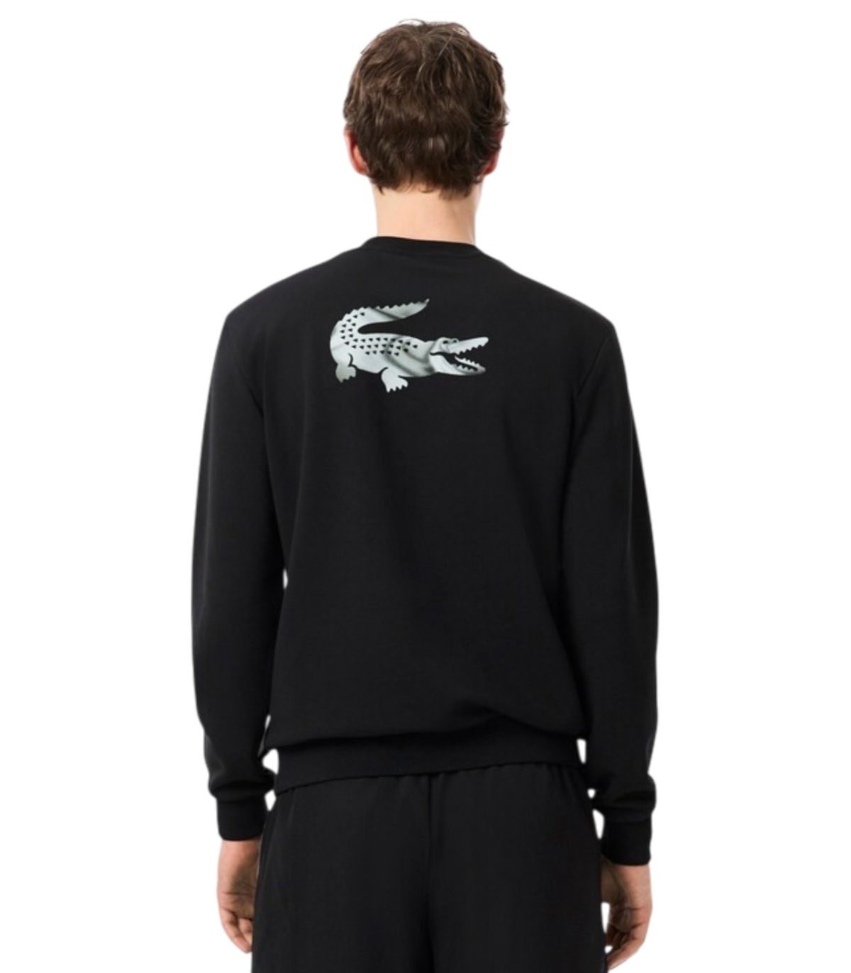 Comprar CHANDAL LACOSTE | LACOSTE