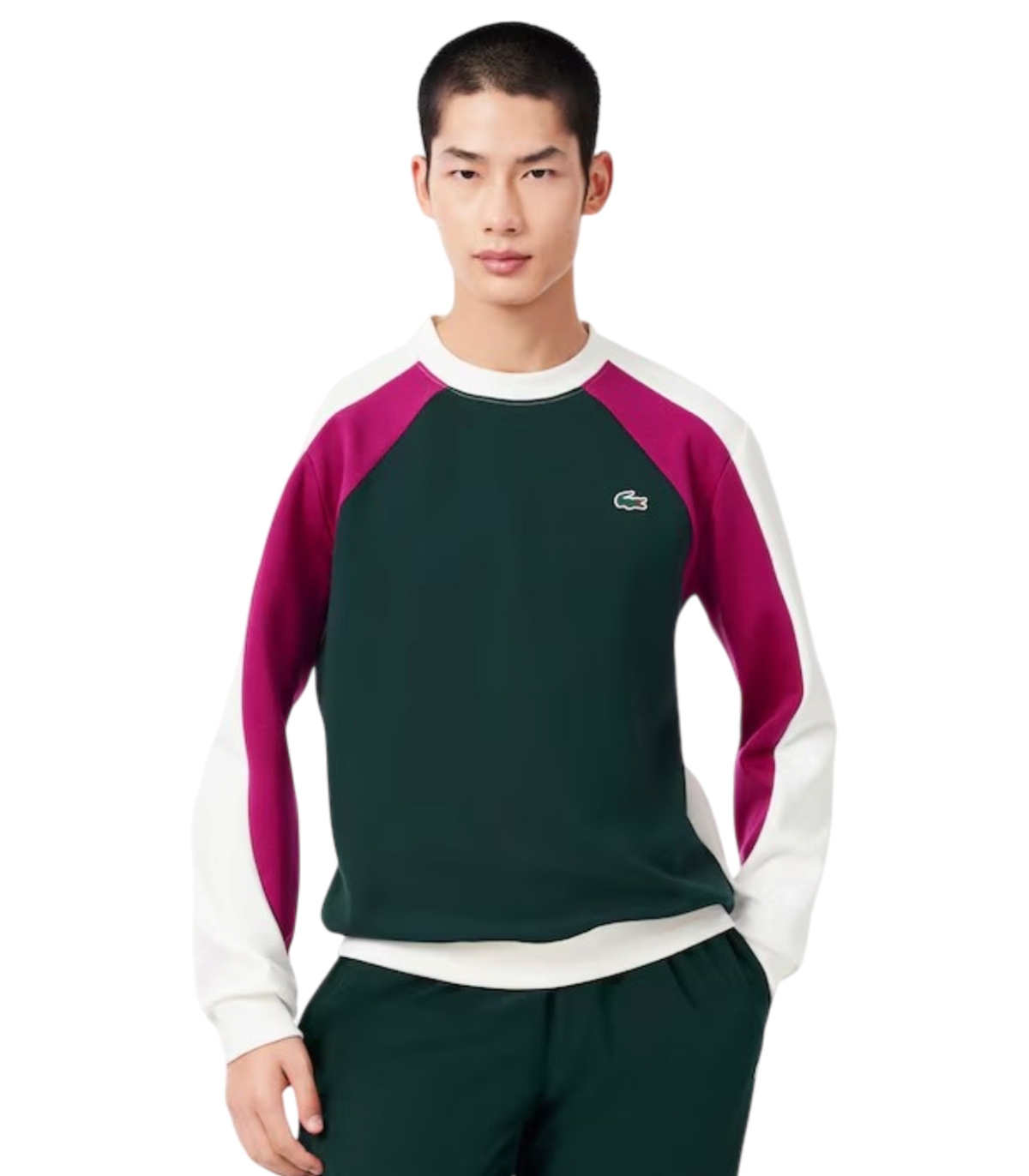 Comprar CHANDAL LACOSTE | LACOSTE