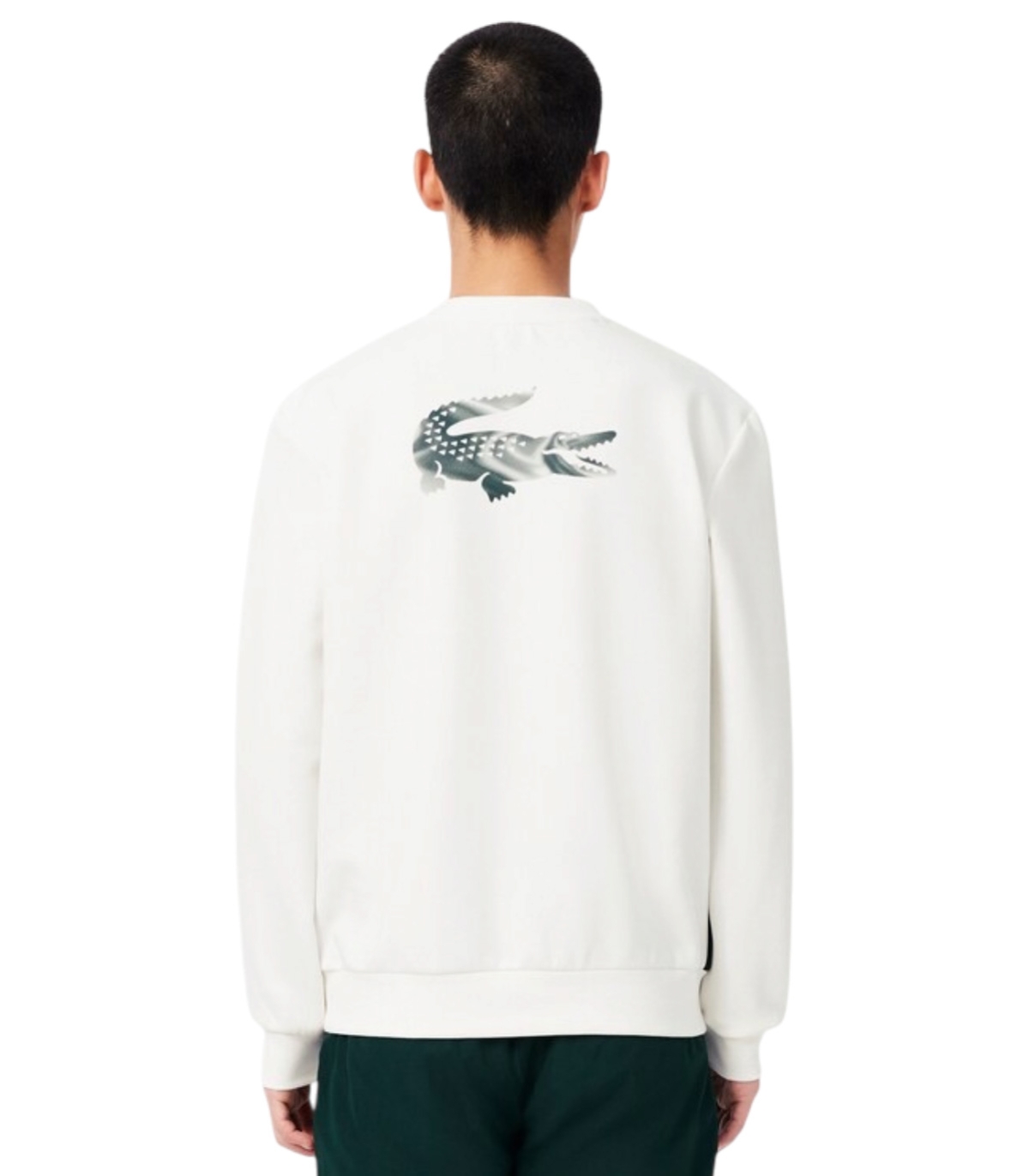 Comprar CHANDAL LACOSTE | LACOSTE
