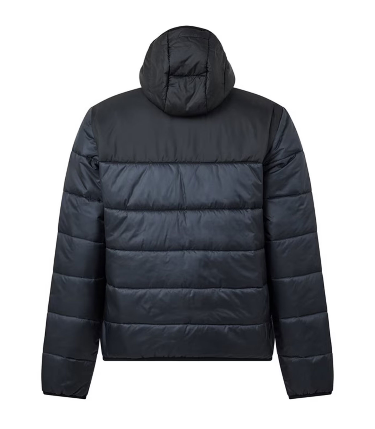 Comprar chaqueton LACOSTE | LACOSTE
