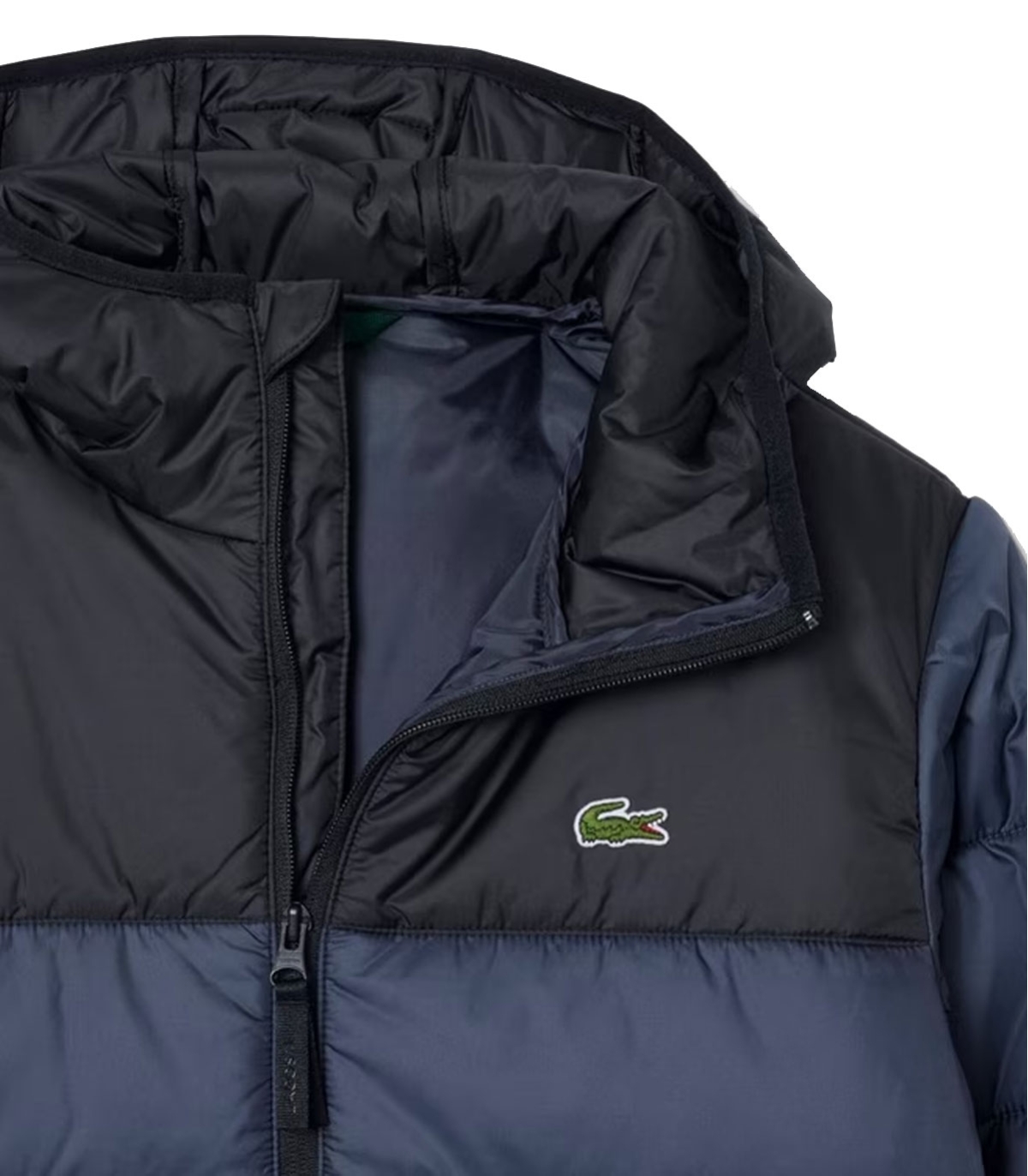 Comprar chaqueton LACOSTE | LACOSTE