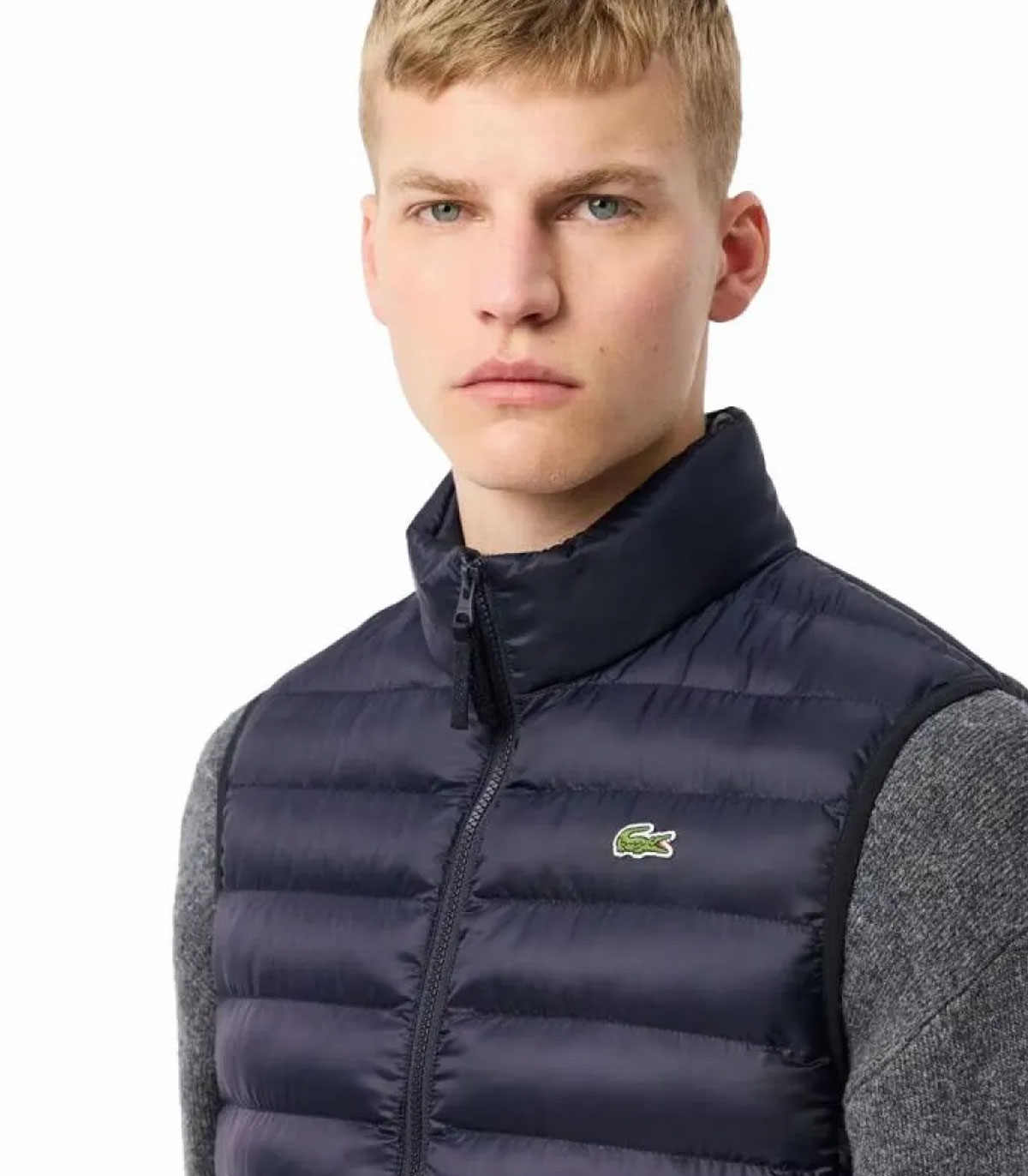 Comprar chaleco LACOSTE  | LACOSTE