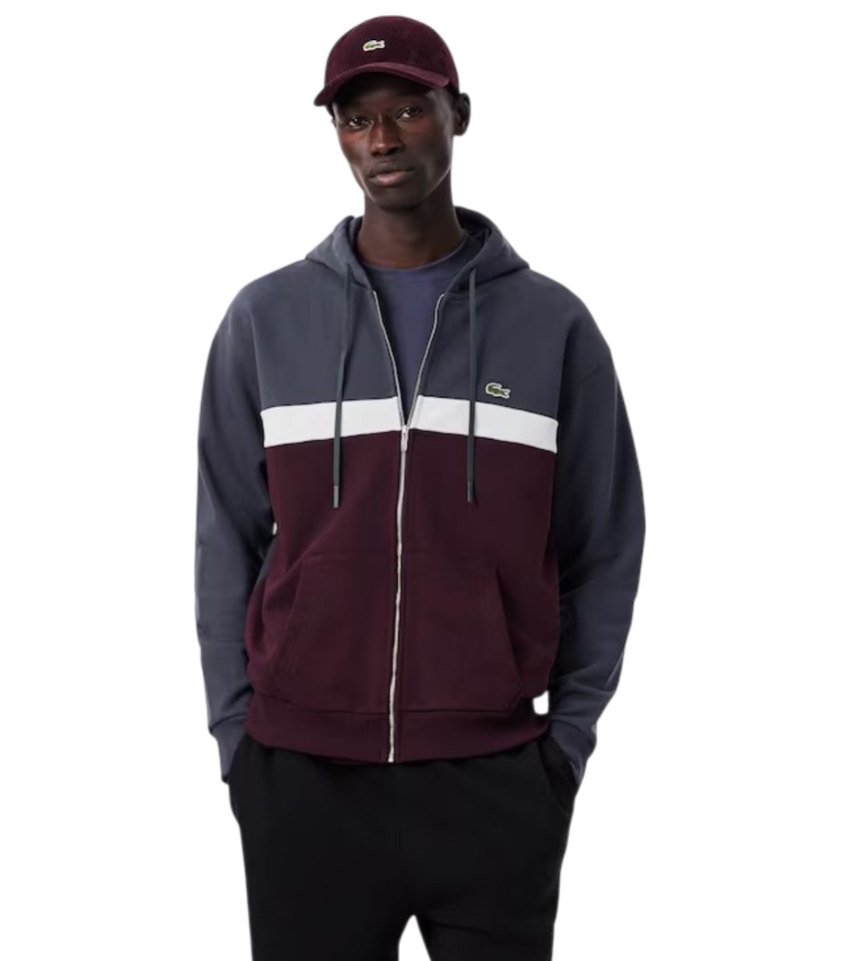 Comprar sudadera LACOSTE | LACOSTE