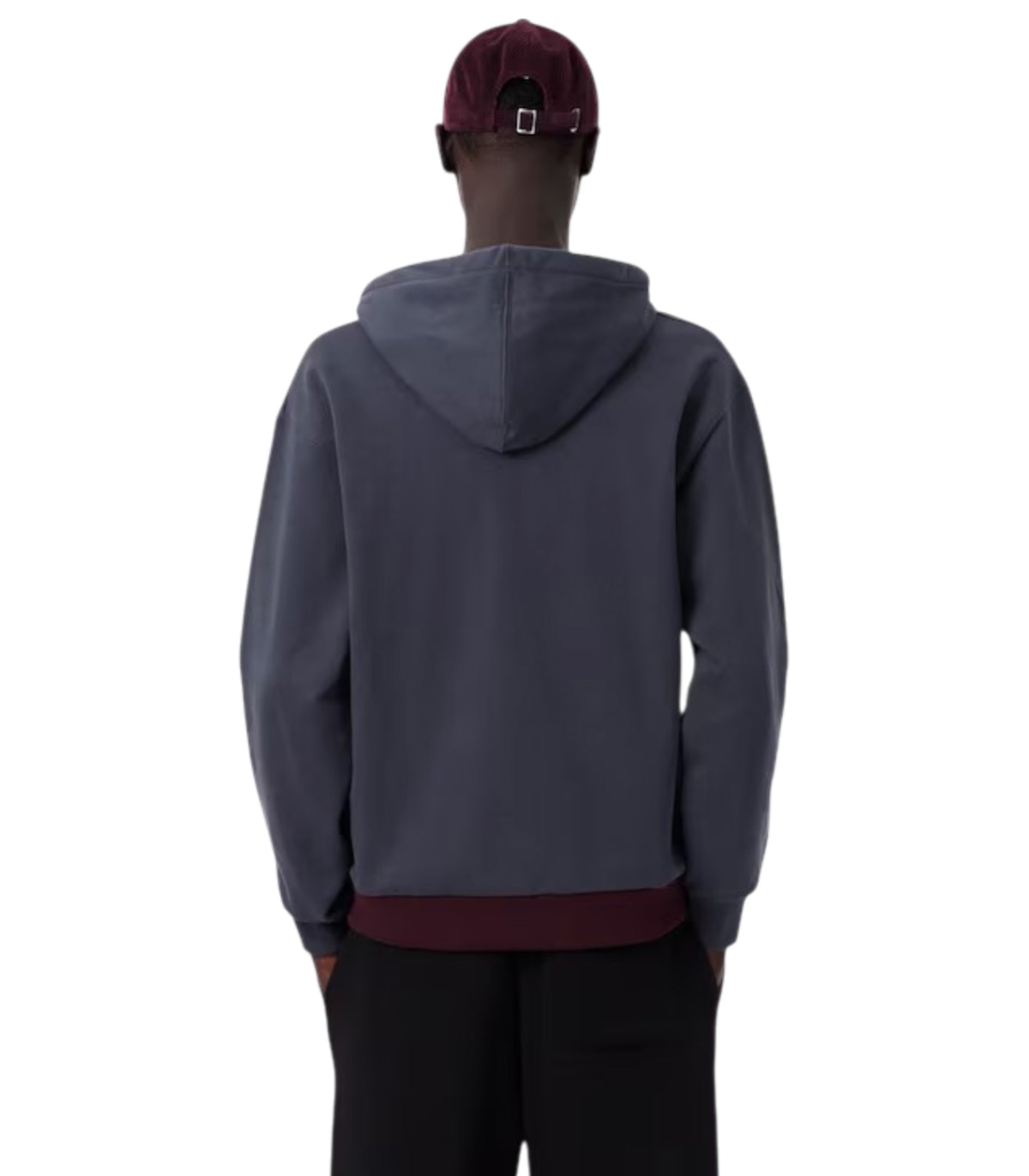 Comprar sudadera LACOSTE | LACOSTE