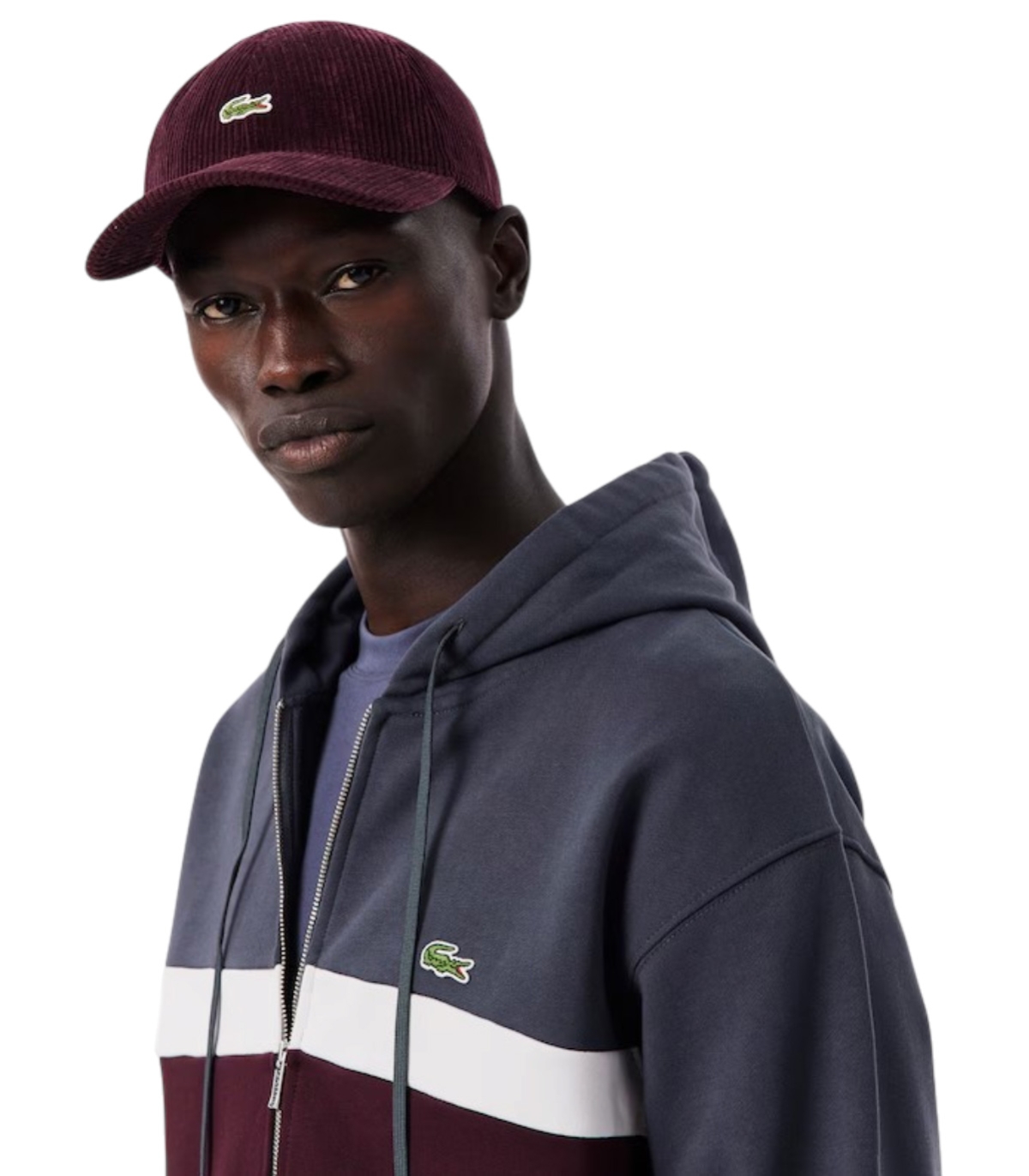 Comprar sudadera LACOSTE | LACOSTE