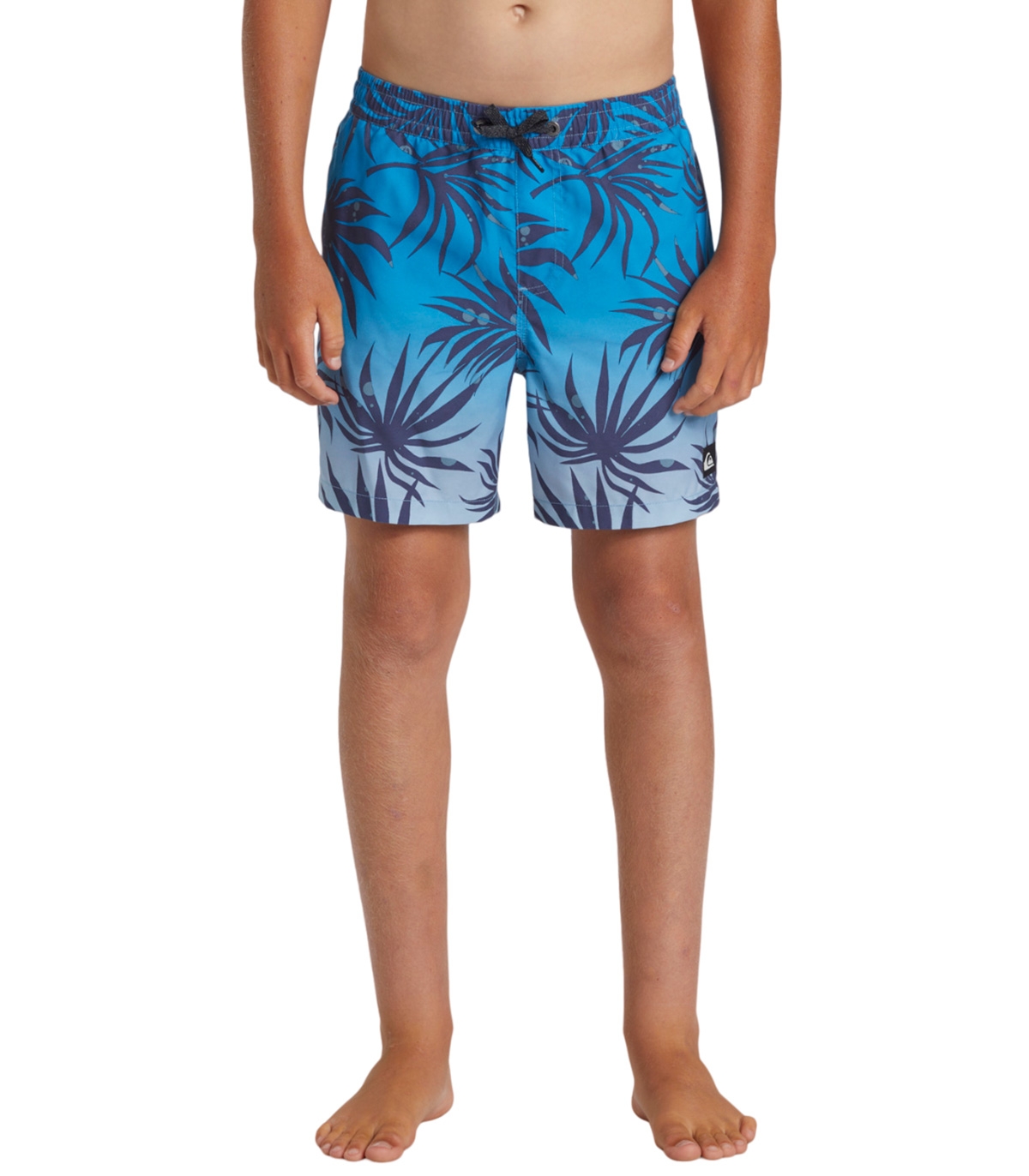 Quiksilver - Bañador Azul para Niños - Everyday Mix Volley