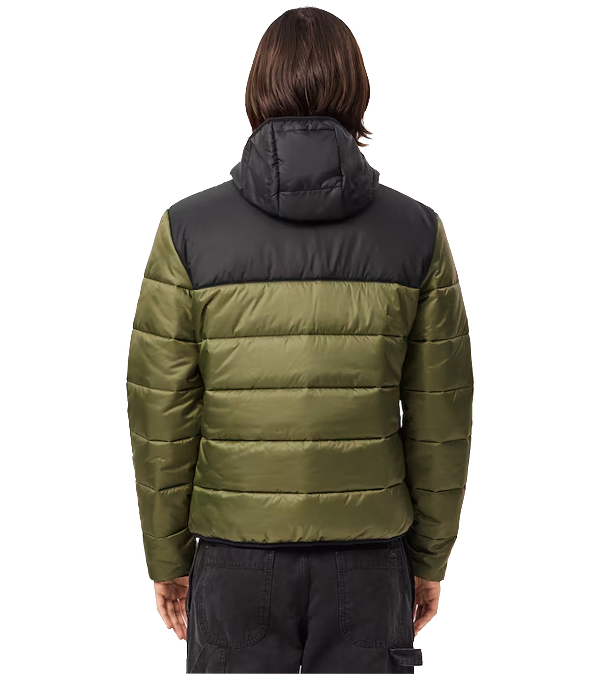 Lacoste - Chaqueta Verde para Hombres - Acolchada